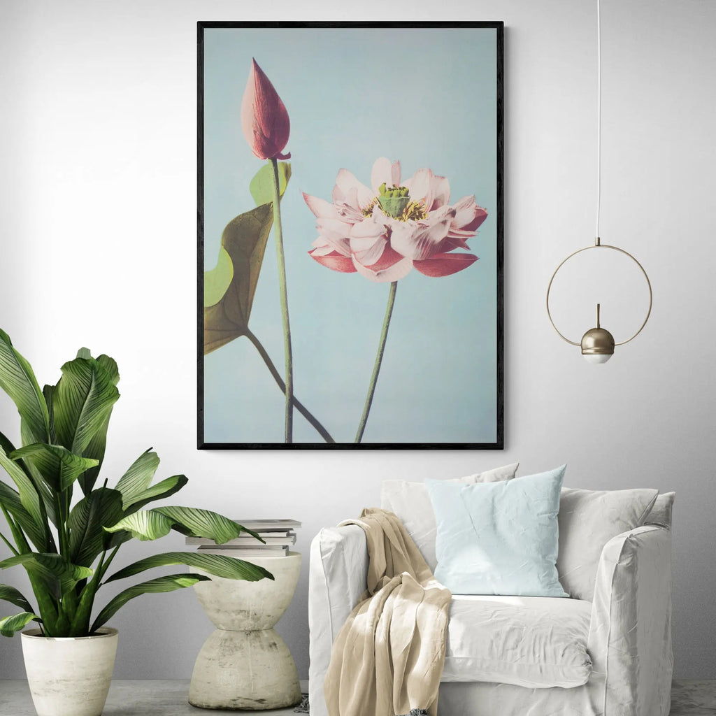 japanese-lotus-flowers-by-