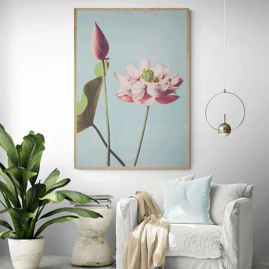 japanese-lotus-flowers-by-